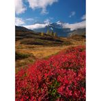 Herbst in den Alpen