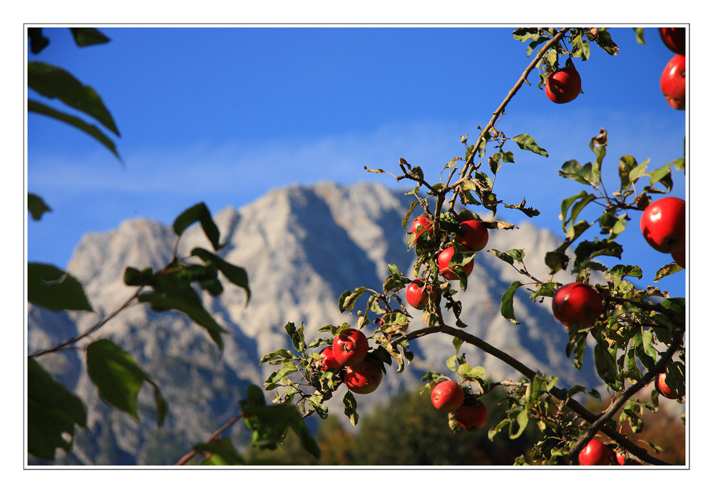 Herbst in den Alpen