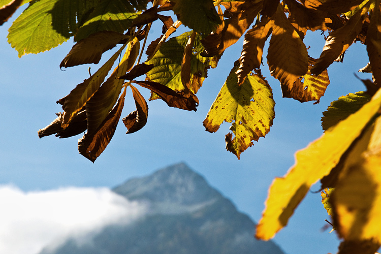 Herbst in den Alpen