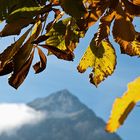 Herbst in den Alpen