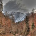 Herbst in den Alpen