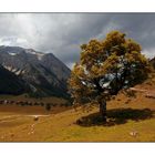 Herbst in den Alpen