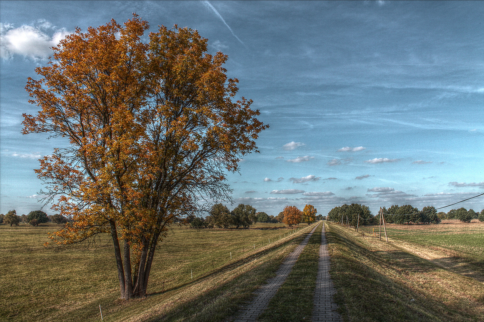 Herbst in den Auen...