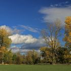 Herbst in den Auen