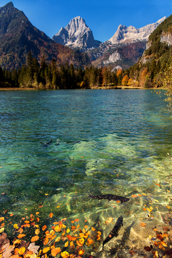 Herbst in den Bergen