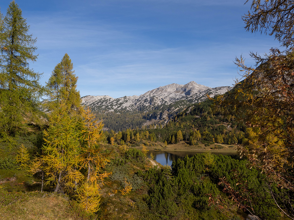 Herbst in den Bergen (1)