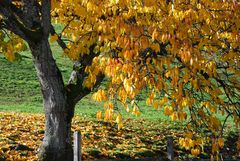 Herbst in den Bergen 2