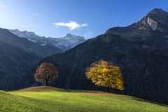 Herbst in den Bergen / 2