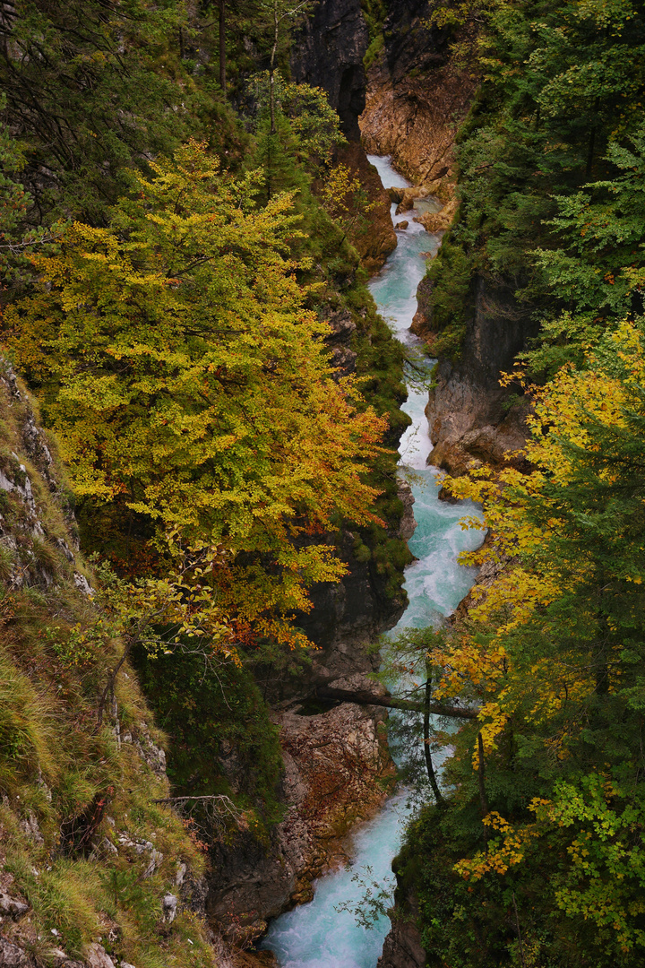 Herbst in den Bergen