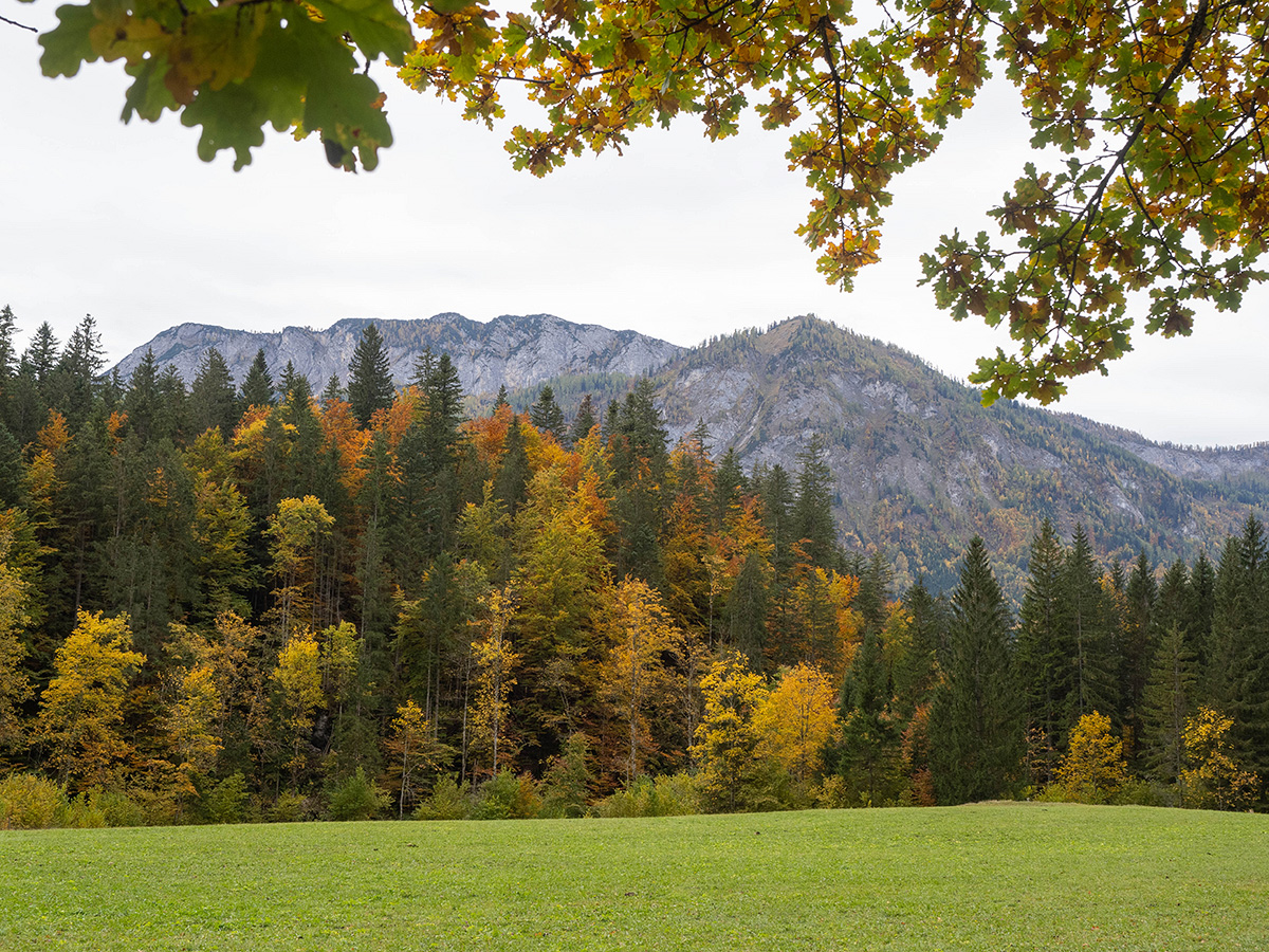 Herbst in den Bergen (3)