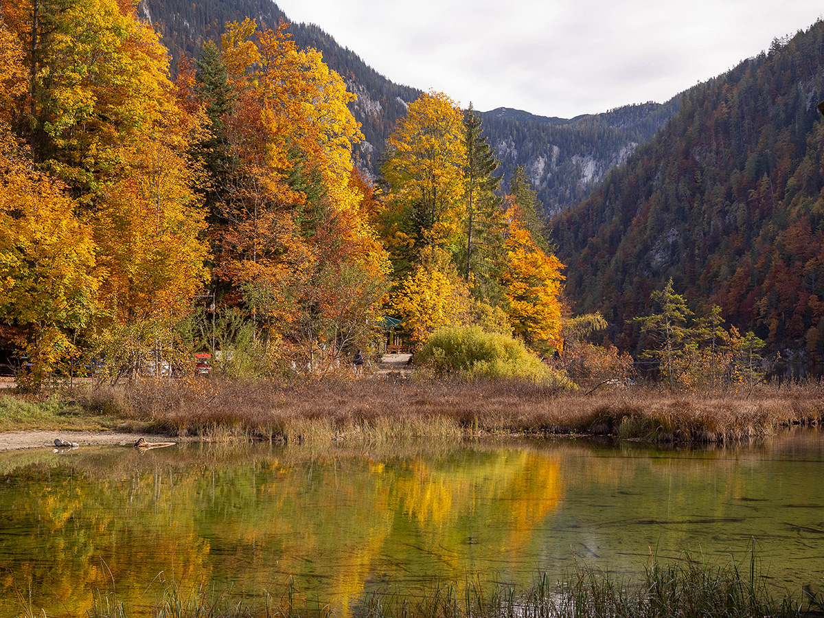 Herbst in den Bergen (4)