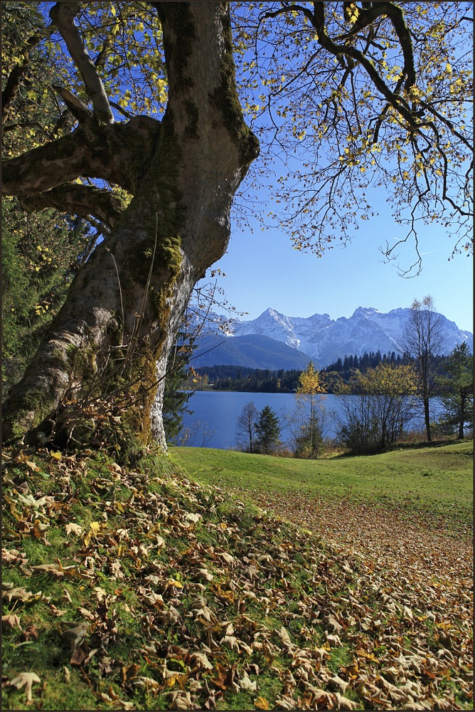 ~ Herbst in den Bergen ~