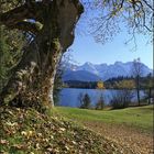 ~ Herbst in den Bergen ~