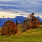 Herbst in den Bergen