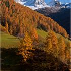 Herbst in den Bergen