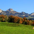 Herbst in den Bergen