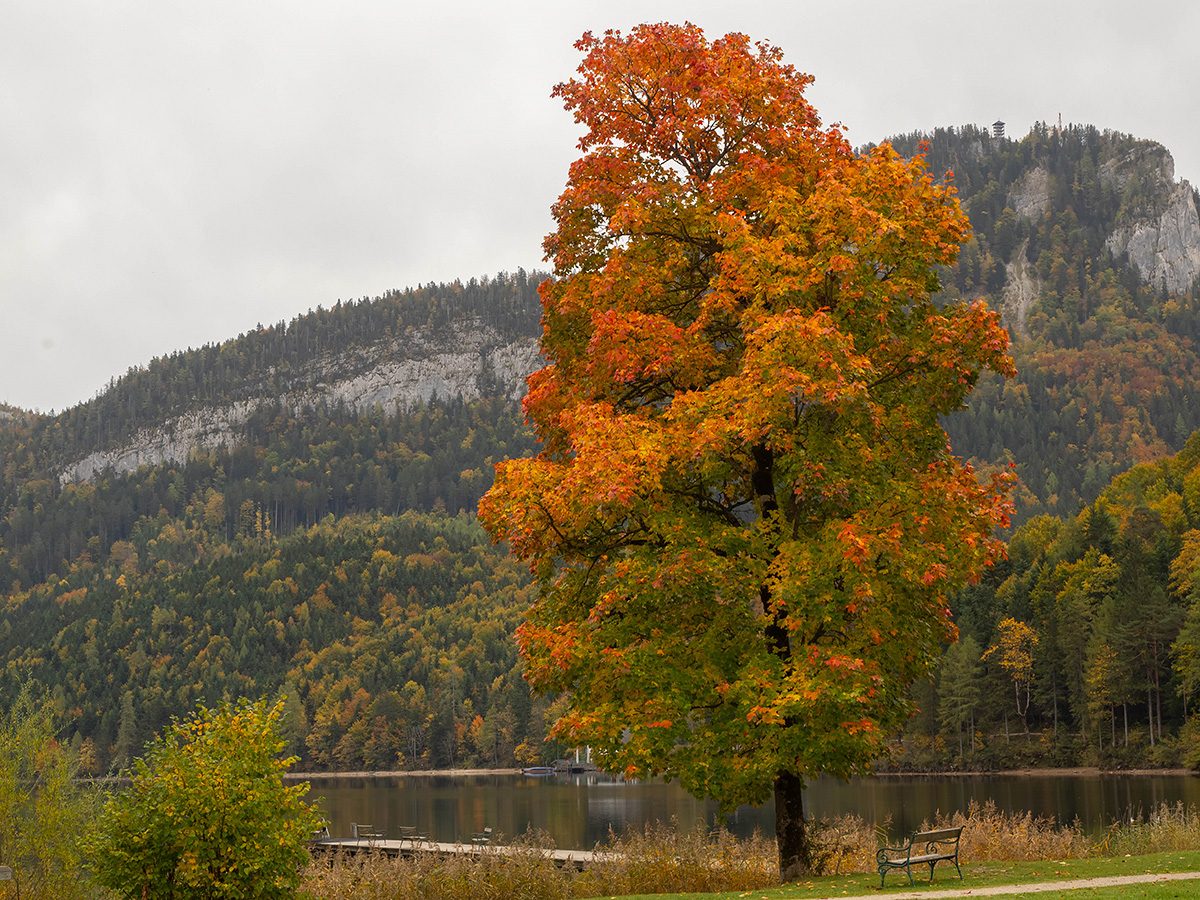 Herbst in den Bergen