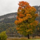 Herbst in den Bergen