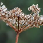 Herbst in den Bergen