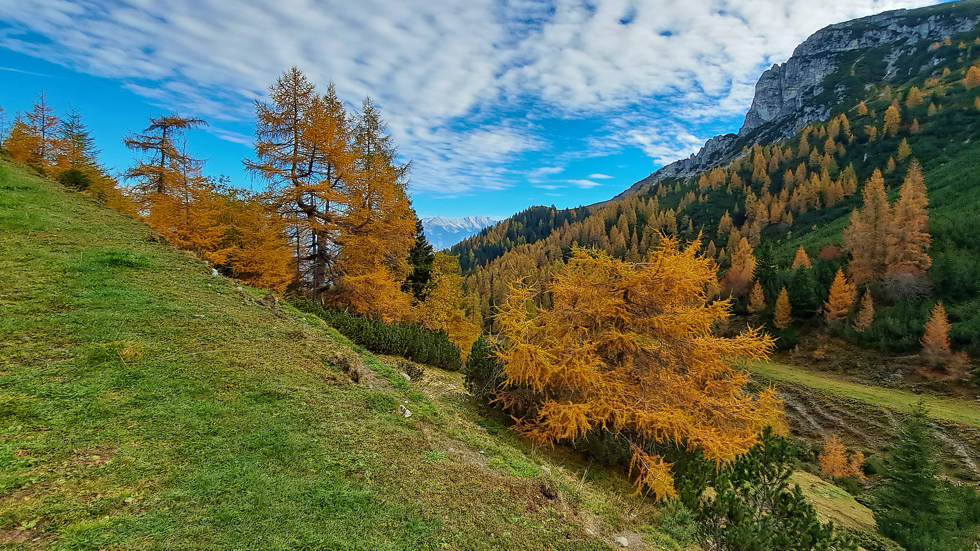 Herbst in den Bergen