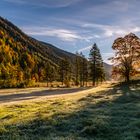 Herbst in den Bergen