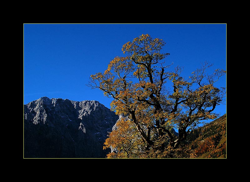 ...Herbst in den Bergen