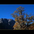 ...Herbst in den Bergen