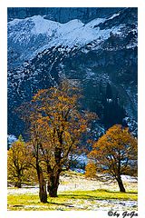Herbst in den Bergen