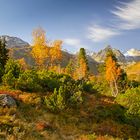 Herbst in den Bergen