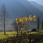 Herbst in den Bergen.