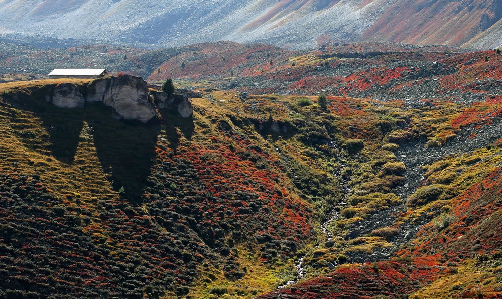 Herbst in den Bergen