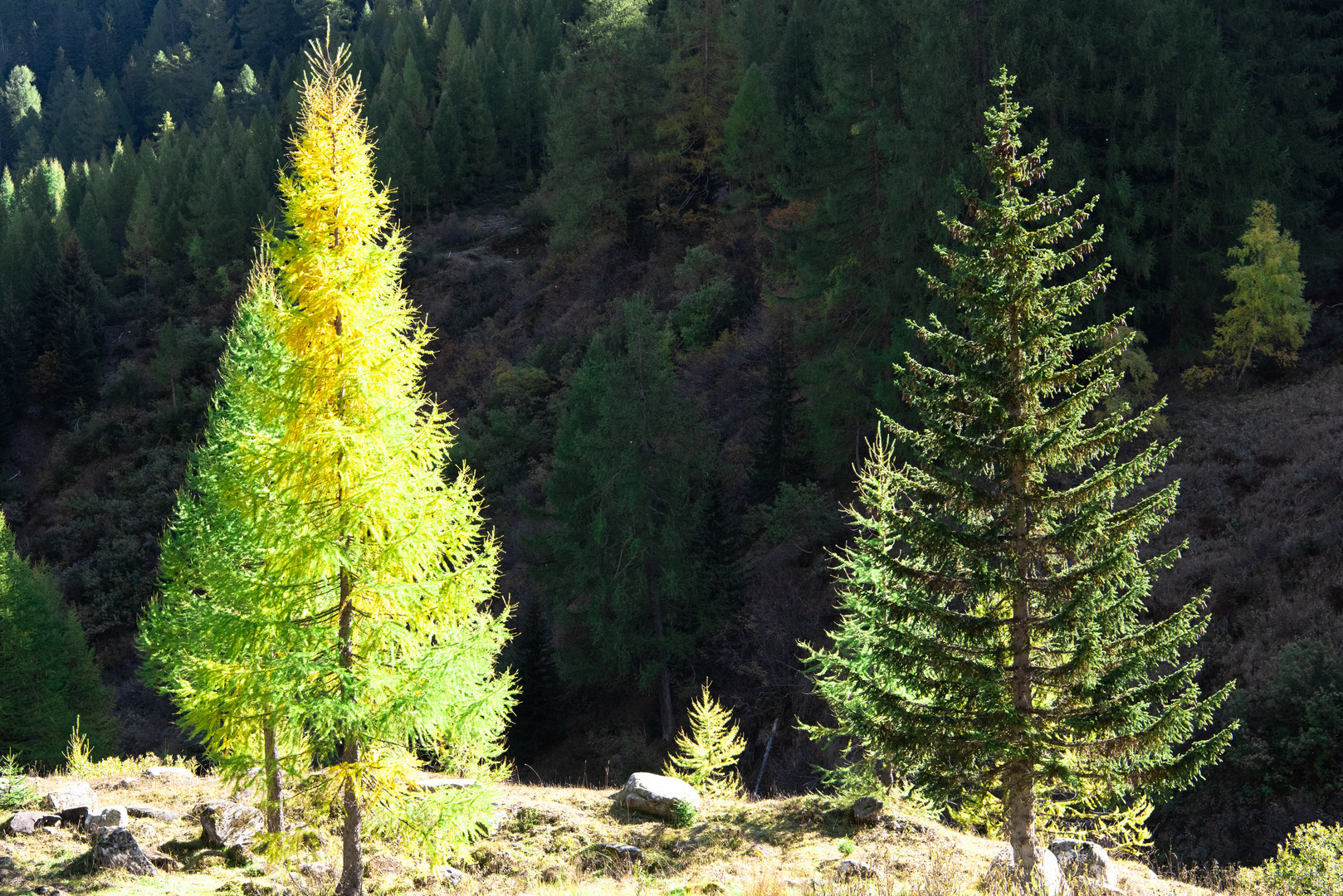 Herbst in den Bergen