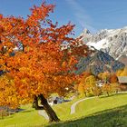 Herbst in den Bergen