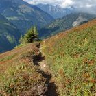 Herbst in den Bergen 