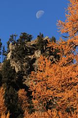 Herbst in den Bergen