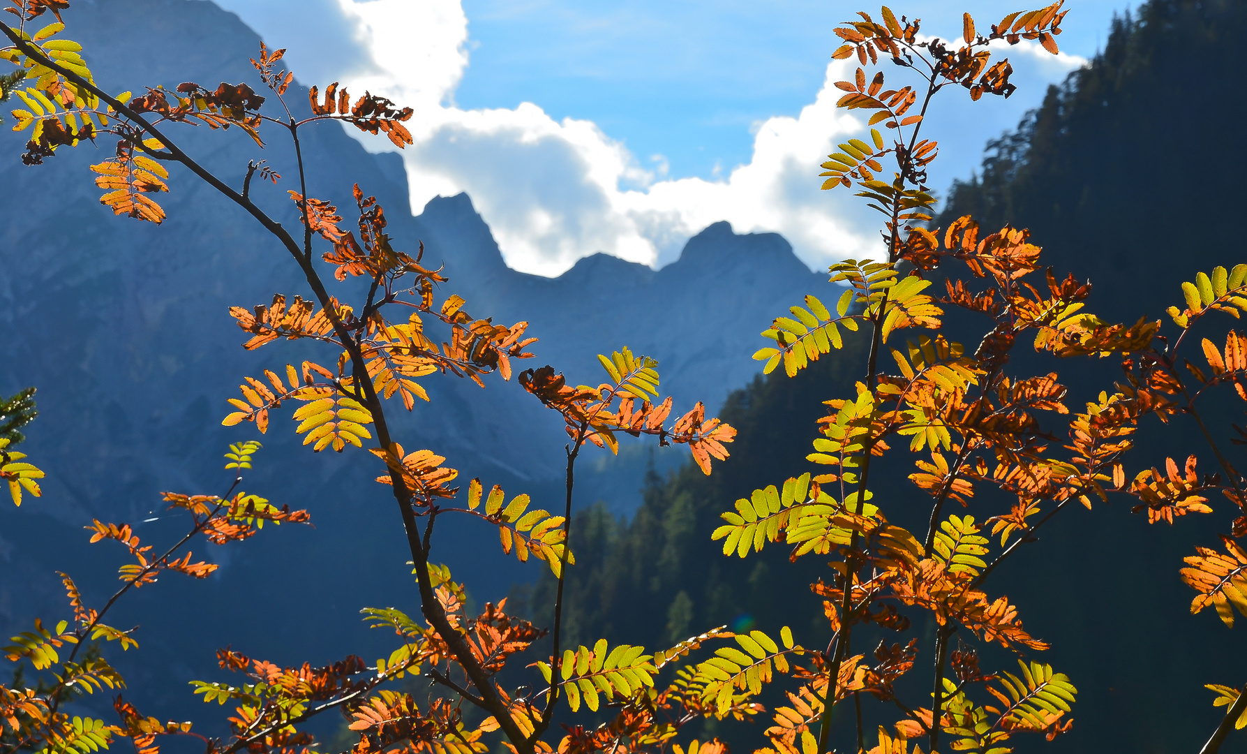 Herbst in den Bergen