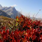 Herbst in den Berner Alpen