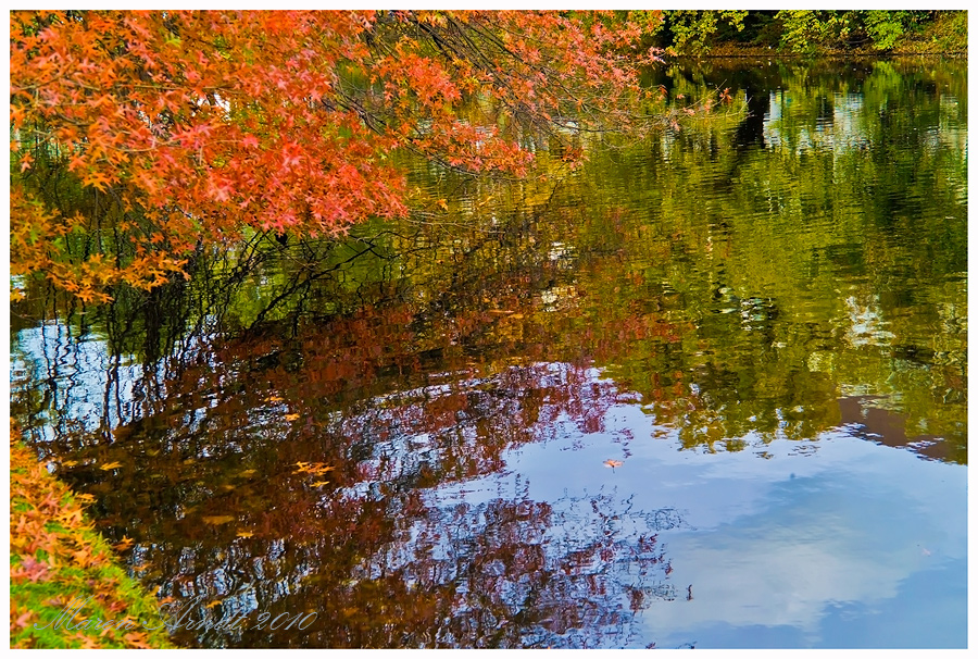 Herbst in den Bremer Wallanlagen