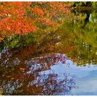 Herbst in den Bremer Wallanlagen