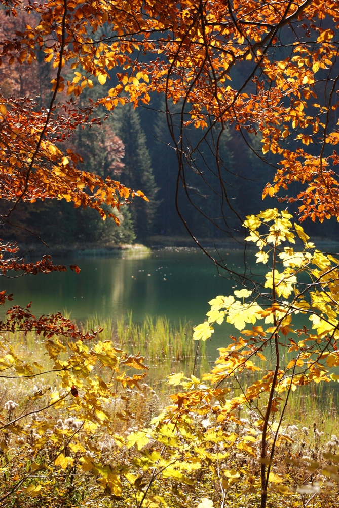 Herbst in den Chiemgauer Alpen