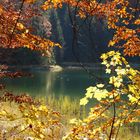 Herbst in den Chiemgauer Alpen