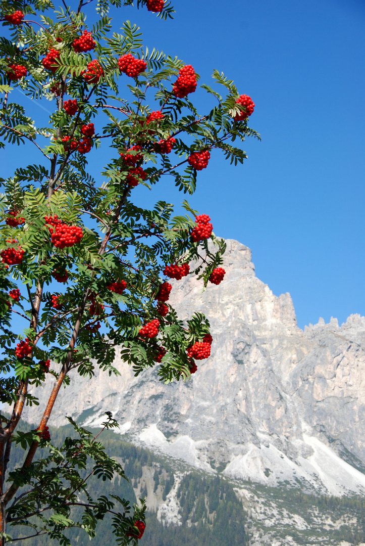 Herbst in den Dolomiten -2-