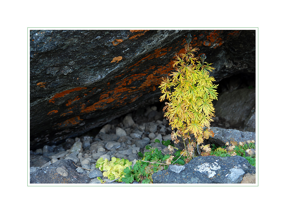 Herbst in den Dolomiten 4