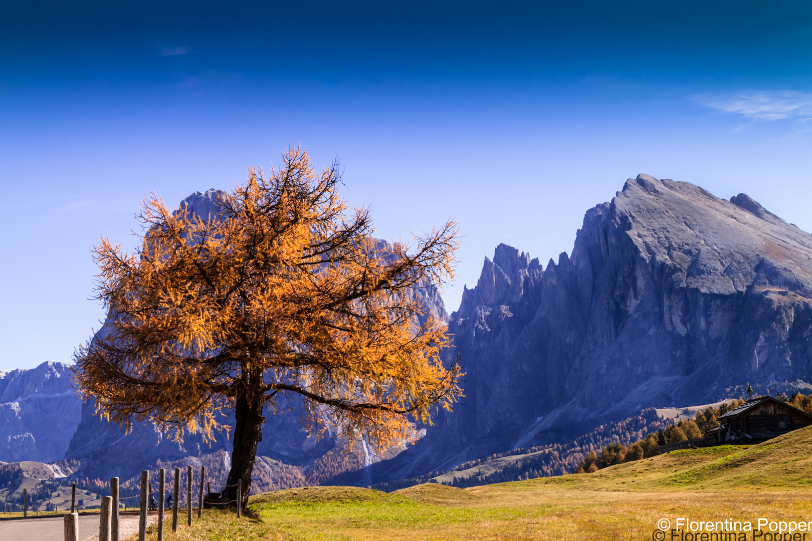 Herbst in den Dolomiten