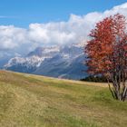 Herbst in den Dolomiten