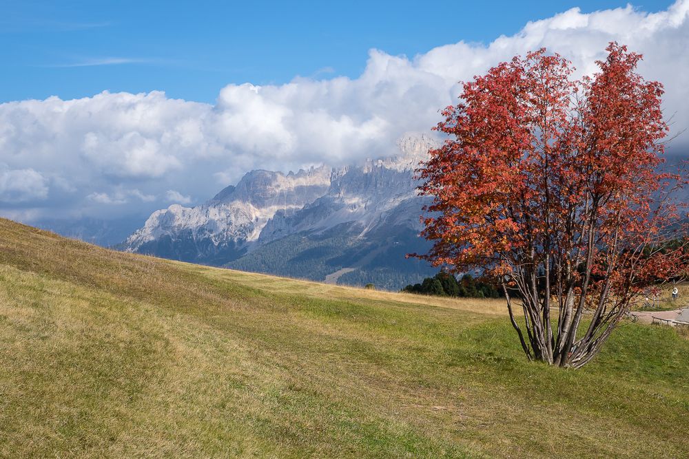 Herbst in den Dolomiten