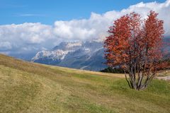 Herbst in den Dolomiten