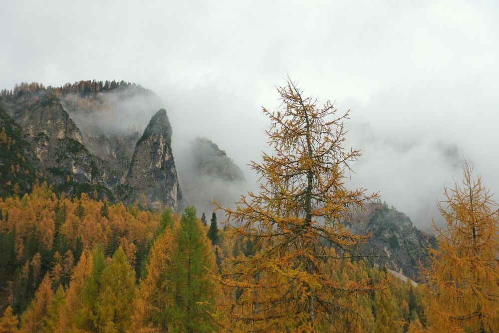 Herbst in den Dolomiten