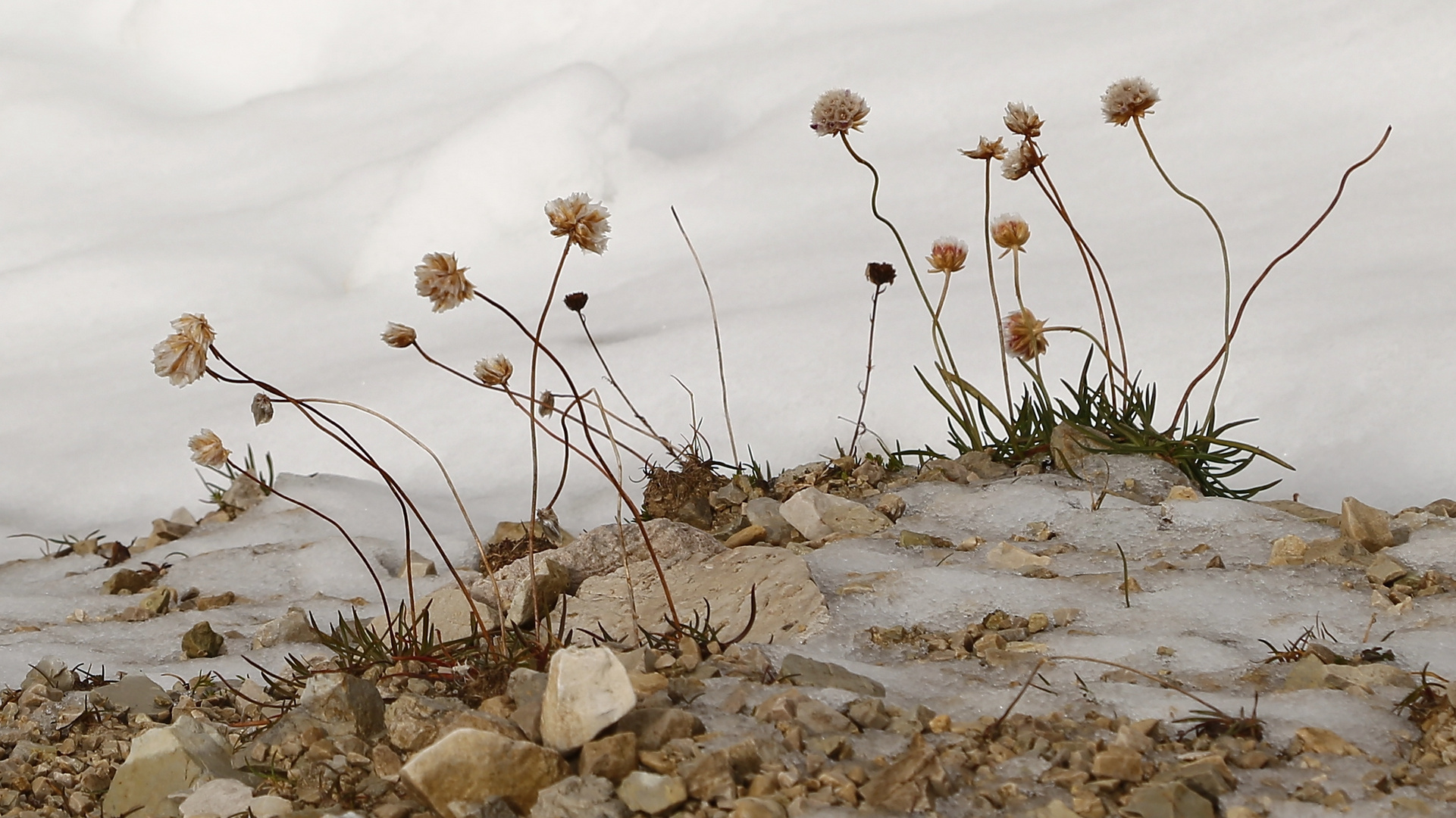 Herbst in den Dolomiten, der Winter kommt (2017_09_25_EOS 6D_6639_ji)