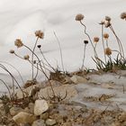 Herbst in den Dolomiten, der Winter kommt (2017_09_25_EOS 6D_6639_ji)